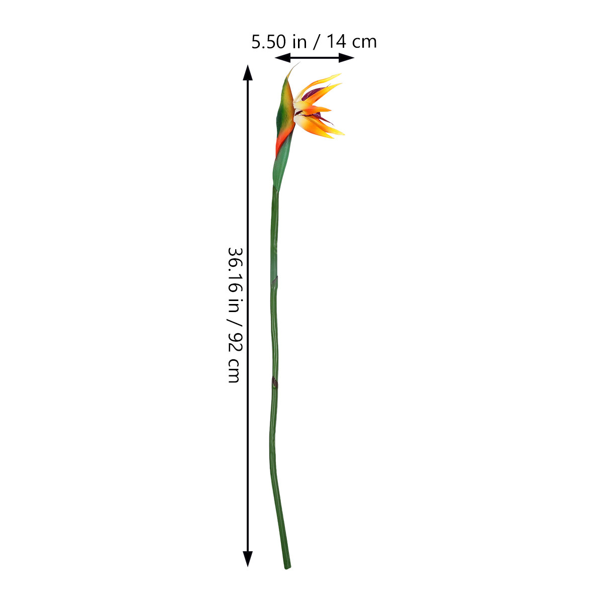 Sztuczny kwiat strelicy (bird  – Bird Paradise Strelitzia recenzja i cena